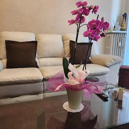 Apartamento Casa Tio Piero Accogliente E Confortevole
